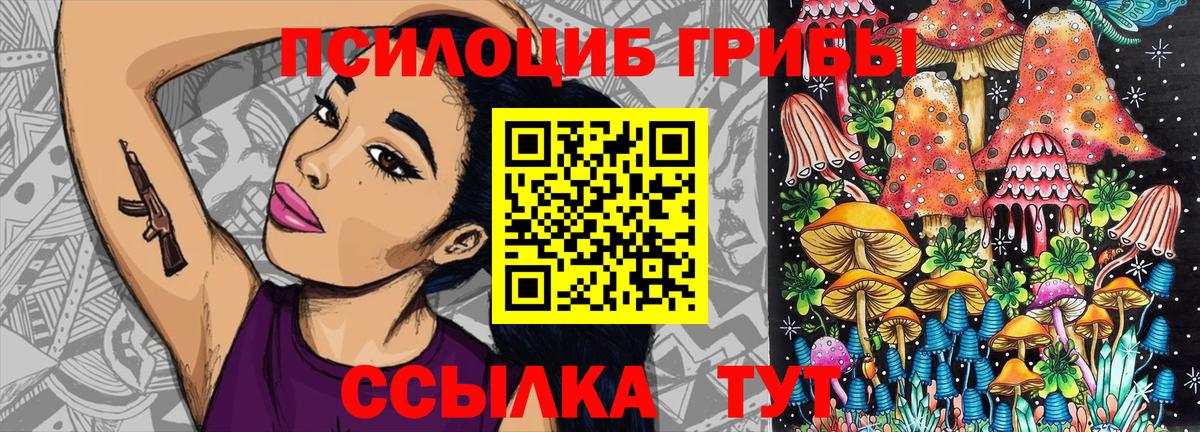 Галлюциногенные грибы MAGIC MUSHROOMS Карачаевск